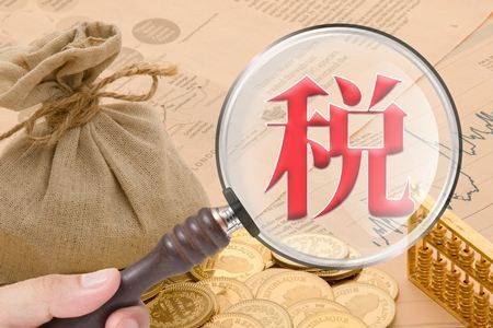 柳州一般納稅人企業(yè)代理報(bào)稅服務(wù)與稅務(wù)代理綜合指南