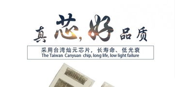 高性?xún)r(jià)比之光 解析1W白光LED燈珠3030 EMC支架貼片與直插式應(yīng)用